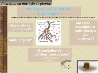 Conceitos em nutrição de plantas
                NUTRIÇÃO DE PLANTAS
                    O conceito??

                                               absorção,
     Quais são os                              transporte e
      nutrientes?                             redistribuíção
                                                    dos
     Suas funções?                              nutrientes?


                        Diagnóstico de
                     deficiências/excessos?
                          Análise química
                              Visual
 