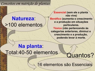 Conceitos em nutrição de plantas

                                     Essencial (sem ele a planta
                                               não vive)
    Natureza:                      Benéfico (aumenta o crescimento
                                      e a produção em situações
  >100 elementos                             particulares.
                                     Tóxico (não pertencendo às
                                   categorias anteriores, diminui o
                                      crescimento e a produção,
                                        podendo levar à morte.


        Na planta:
  Total:40-50 elementos
                                               Quantos?
                        16 elementos são Essenciais
 