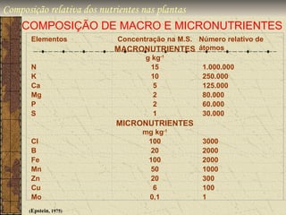 Composição relativa dos nutrientes nas plantas
   COMPOSIÇÃO DE MACRO E MICRONUTRIENTES
    Elementos         Concentração na M.S. Número relativo de
                      MACRONUTRIENTES átomos
                             g kg-1
    N                          15           1.000.000
    K                          10           250.000
    Ca                          5           125.000
    Mg                          2           80.000
    P                           2           60.000
    S                           1           30.000
                      MICRONUTRIENTES
                             mg kg-1
    Cl                        100            3000
    B                         20             2000
    Fe                        100            2000
    Mn                        50             1000
    Zn                        20             300
    Cu                         6             100
    Mo                        0,1            1
    (Epstein, 1975)
 