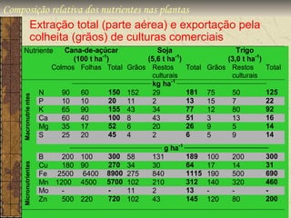 Composição relativa dos nutrientes nas plantas
     Extração total (parte aérea) e exportação pela
     colheita (grãos) de culturas comerciais
    Nutriente                 Cana-de-açúcar                     Soja                           Trigo
                                            -1                          -1
                                 (100 t ha )                 (5,6 t ha )                     (3,0 t ha-1)
                          Colmos Folhas Total Grãos Restos                   Total Grãos Restos            Total
                                                               culturais                      culturais
                                ______________________________        -1 __________________________________
                                                               kg ha
                       N     90    60          150 152         29            181 75           50           125
    Macronutrie ntes




                       P     10 10             20 11           2             13      15       7            22
                       K     65 90             155 43          34            77      12       80           92
                       Ca    60 40             100 8           43            51      3        13           16
                       Mg    35 17             52 6            20            26      9        5            14
                       S     25 20             45 4            2             6       5        9            14
                                  ___________________________________
                                                                    g ha-1 ________________________________
                       B    200 100             300    58        131        189 100          200          300
                                                270                         64                            31
    Micronutrientes




                       Cu   180 90                     34        30                 17       14
                       Fe 2500 6400             8900   275       840        1115 190         500          690
                       Mn 1200 4500             5700   102       210        312 140          320          460
                       Mo   -   -               -      11        2          13      -        -            -
                       Zn   500 220             720    102       43         145 120          80           200
 