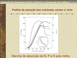 Acúmulo de nutrientes pelas culturas e a formação de colheita

          Padrão de extração dos nutrientes variam c/ ciclo




         Marcha de absorção de N, P e K pelo milho.
 