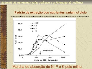 Acúmulo de nutrientes pelas culturas e a formação de colheita


          Padrão de extração dos nutrientes variam c/ ciclo




        Marcha de absorção de N, P e K pelo milho.
 