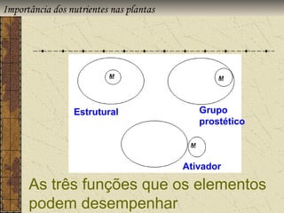 Importância dos nutrientes nas plantas




                 Estrutural                 Grupo
                                            prostético



                                         Ativador

      As três funções que os elementos
      podem desempenhar
 