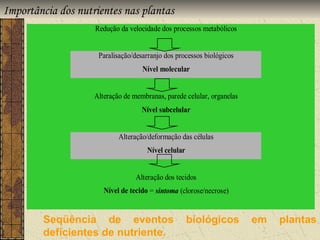 Importância dos nutrientes nas plantas
                    Redução da velocidade dos processos metabólicos


                     Paralisação/desarranjo dos processos biológicos
                                    Nível molecular


                    Alteração de membranas, parede celular, organelas
                                    Nível subcelular


                            Alteração/deformação das células
                                      Nível celular


                                  Alteração dos tecidos
                       Nível de tecido = sintoma (clorose/necrose)


        Seqüência de eventos                          biológicos        em   plantas
        deficientes de nutriente.
 