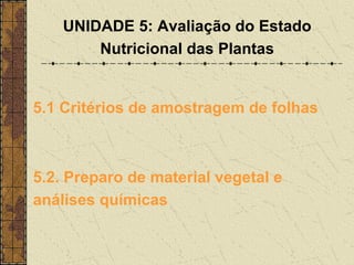 UNIDADE 5: Avaliação do Estado
        Nutricional das Plantas


5.1 Critérios de amostragem de folhas



5.2. Preparo de material vegetal e
análises químicas
 