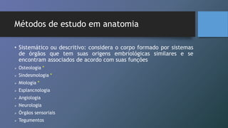 Métodos de estudo em anatomia
• Sistemático ou descritivo: considera o corpo formado por sistemas
de órgãos que tem suas origens embriológicas similares e se
encontram associados de acordo com suas funções
 Osteologia *
 Sindesmologia *
 Miologia *
 Esplancnologia
 Angiologia
 Neurologia
 Órgãos sensoriais
 Tegumentos
 