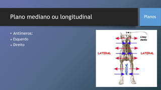 Plano mediano ou longitudinal
• Antímeros:
 Esquerdo
 Direito
Planos
 