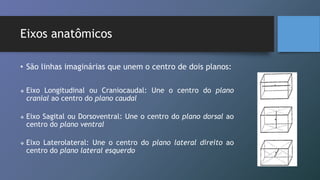 Eixos anatômicos
• São linhas imaginárias que unem o centro de dois planos:
 Eixo Longitudinal ou Craniocaudal: Une o centro do plano
cranial ao centro do plano caudal
 Eixo Sagital ou Dorsoventral: Une o centro do plano dorsal ao
centro do plano ventral
 Eixo Laterolateral: Une o centro do plano lateral direito ao
centro do plano lateral esquerdo
 
