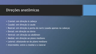 Direções anatômicas
• Cranial: em direção à cabeça
• Caudal: em direção à cauda
• Rostral: em direção à ponta do nariz (usada apenas na cabeça)
• Dorsal: em direção ao dorso
• Ventral: em direção ao abdômen
• Medial: em direção ao plano mediano
• Lateral: afastando-se do plano mediano
• Intermédio: entre o medial e o lateral
 