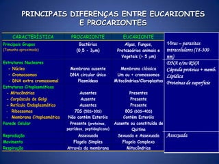 Madiganet al., Microbiologia de Brock, 2004