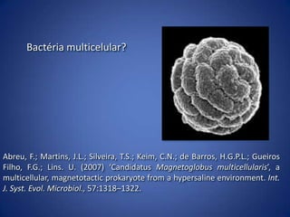 PRINCIPAIS DIFERENÇAS ENTRE EUCARIONTES E PROCARIONTES