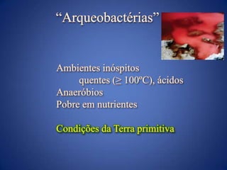 Bactéria multicelular?Abreu, F.; Martins, J.L.; Silveira, T.S.; Keim, C.N.; de Barros, H.G.P.L.; GueirosFilho, F.G.; Lins. U. (2007) ‘CandidatusMagnetoglobusmulticellularis’, a multicellular, magnetotactic prokaryote from a hypersaline environment. Int. J. Syst. Evol. Microbiol.,57:1318–1322.