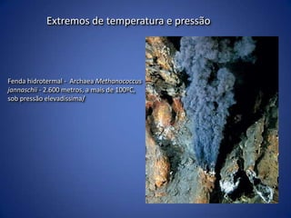 “Arqueobactérias”        Ambientes inóspitos	quentes (≥ 100ºC), ácidosAnaeróbiosPobre em nutrientesCondições da Terra primitiva