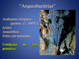 Extremos de temperatura e pressãoFenda hidrotermal -  Archaea Methanococcus jannaschii - 2.600 metros, a mais de 100ºC, sob pressão elevadíssima/