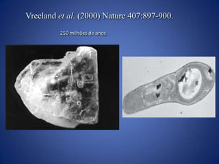 “Arqueobactérias”        Ambientes inóspitos	quentes (≥ 100ºC), ácidosAnaeróbiosPobre em nutrientesCondições da Terra primitiva