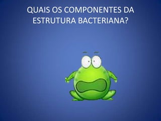 NOCARDIA E ACTINOMICETOSPossuem ác. Micólico em sua parede