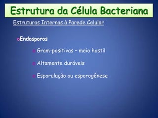 Estrutura da Célula BacterianaEstruturas Internas à Parede Celular Membrana Plasmática