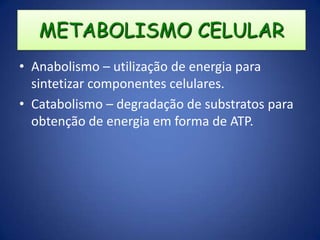  Permeabilidade Seletiva