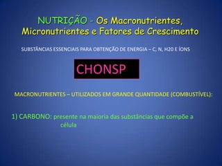 Gram-positivas – meio hostil