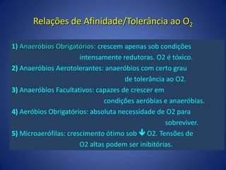  Esporulação ou esporogêneseBacillus e ClostridiumPrecisam de água e nutriente desencadeante – 90 min