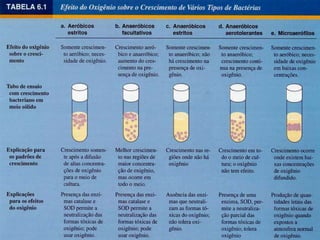 REPRODUÇÃOAssexuada por simples divisão (fissão binária) - uma célula, divide-se ao meio, dando origem a duas células-filhas iguais.Sexuada:1.  Conjugação bacteriana - duas bactérias unem-se temporariamente através de uma ponte citoplasmática. Uma das células, denominada doadora, duplica parte do cromossomo e passa para outra célula, denominada receptora, unindo-se ao cromossomo dessa célula. A célula ficará com constituição genética diferente daquela das duas células iniciais.2. Transdução - contaminação de uma bactéria por algum vírus. Este pode incorporar ao seu DNA partes do DNA da bactéria e quando infectar outra bactéria e esta sobreviver a contaminação apresentará novas características.3.  Transformação - uma bactéria incorpora moléculas de DNA existentes no meio e esta passa a ter novas características. 