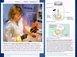 METABOLISMO CELULARAnabolismo – utilização de energia para sintetizar componentes celulares.Catabolismo – degradação de substratos para obtenção de energia em forma de ATP.