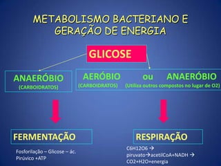  Manutenção de [ ] iônica, movimento bacteriano