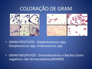 FASE LOG: ou de crescimento logarítmico; taxas máximas de crescimento. Essa taxa é influenciada pela T°C, fonte de C, [ ] e tipo de nutrientes e pela tensão de O2. Fases do Crescimento Bacteriano*