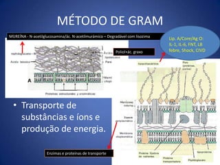 *FASE ESTACIONÁRIA: o número de células viáveis alcança valor máximo e o n° de novas bactérias é = ao de células que morrem por carência de nutrientes.Fases do Crescimento Bacteriano
