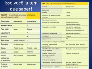 *FASE DE DECLÍNIO: o crescimento cessa devido ao esgotamento de vários nutrientes do meio.Células começam a lisar e morrer.Fases do Crescimento Bacteriano