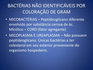 SÍNTESE DE PROTEÍNAS BACTERIANASRibossomos:Transcrição  Tradução
