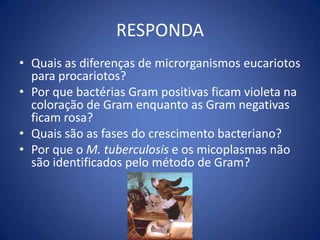 COLORAÇÃO DE GRAMGRAM POSITIVOS : Staphylococcus spp, Streptococcus spp, Enterococcus sppGRAM NEGATIVOS : Enterobactérias e Bacilos Gram negativos não fermentadores(BGNNF)