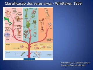 QUAL A DIFERENÇA DE CÉLULAS DE EUCARIONTES E PROCARIONTES?