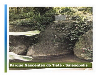 Parque Nascentes do Tietê - Salesópolis 
 