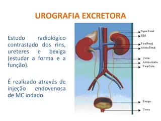 Radiologianota10 Turma 88 - urografia excretora | PPT