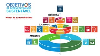 Aula 1 - Meio ambiente e Desenvolvimento Sustentável.pdf