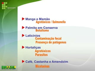 Manga e Mamão
Palmito em Conserva
Laticínios
Hortaliças
Café, Castanha e Amendoim
 