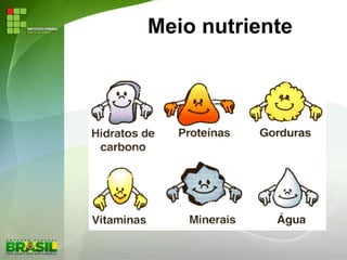 Meio nutriente
 