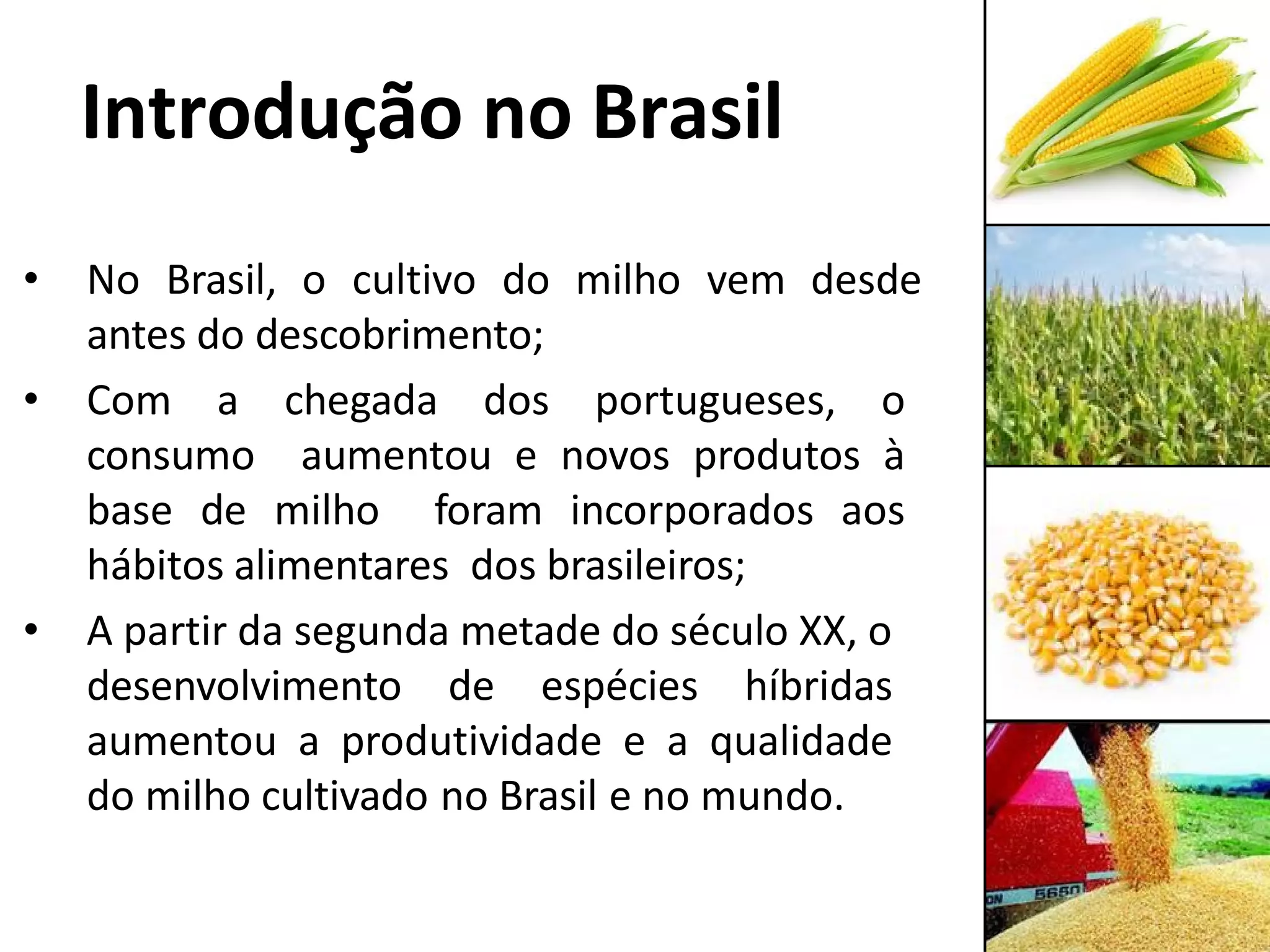 Aula 1 - Milho - Origem e importância.pdf