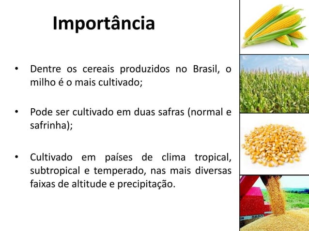 Aula 1 - Milho - Origem e importância.pdf
