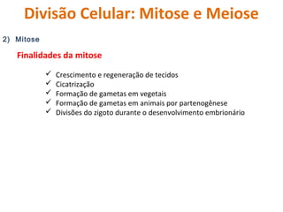 Divisão Celular: Mitose e Meiose 
2) Mitose 
Finalidades da mitose 
 Crescimento e regeneração de tecidos 
 Cicatrização...