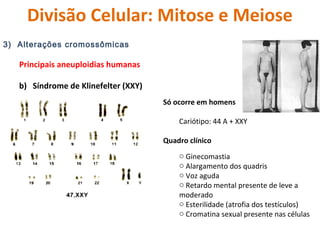 Divisão Celular: Mitose e Meiose 
3) Alterações cromossômicas 
Principais aneuploidias humanas 
b) Síndrome de Klinefelter...