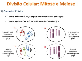 Divisão Celular: Mitose e Meiose 
1) Conceitos Prévios 
• Células Haplóides (C e D) não possuem cromossomos homólogos 
• C...