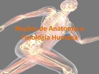 Noções de Anatomia e
 Fisiologia Humana
 