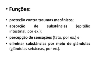 • Funções:
• proteção contra traumas mecânicos;
• absorção        de    substâncias     (epitélio
  intestinal, por ex.);
• percepção de sensações (tato, por ex.) e
• eliminar substâncias por meio de glândulas
  (glândulas sebáceas, por ex.).
 