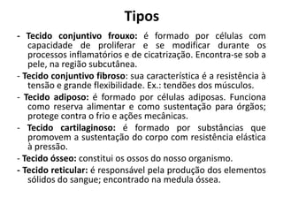 Tipos
- Tecido conjuntivo frouxo: é formado por células com
   capacidade de proliferar e se modificar durante os
   processos inflamatórios e de cicatrização. Encontra-se sob a
   pele, na região subcutânea.
- Tecido conjuntivo fibroso: sua característica é a resistência à
   tensão e grande flexibilidade. Ex.: tendões dos músculos.
- Tecido adiposo: é formado por células adiposas. Funciona
   como reserva alimentar e como sustentação para órgãos;
   protege contra o frio e ações mecânicas.
- Tecido cartilaginoso: é formado por substâncias que
   promovem a sustentação do corpo com resistência elástica
   à pressão.
- Tecido ósseo: constitui os ossos do nosso organismo.
- Tecido reticular: é responsável pela produção dos elementos
   sólidos do sangue; encontrado na medula óssea.
 