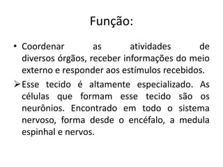 Função:
• Coordenar         as       atividades     de
  diversos órgãos, receber informações do meio
  externo e responder aos estímulos recebidos.
Esse tecido é altamente especializado. As
  células que formam esse tecido são os
  neurônios. Encontrado em todo o sistema
  nervoso, forma desde o encéfalo, a medula
  espinhal e nervos.
 