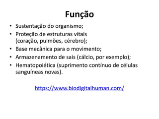 Função
• Sustentação do organismo;
• Proteção de estruturas vitais
  (coração, pulmões, cérebro);
• Base mecânica para o movimento;
• Armazenamento de sais (cálcio, por exemplo);
• Hematopoiética (suprimento contínuo de células
  sanguíneas novas).

         https://www.biodigitalhuman.com/
 