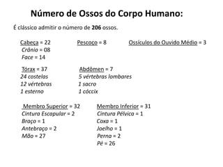 Número de Ossos do Corpo Humano:
É clássico admitir o número de 206 ossos.

  Cabeça = 22            Pescoço = 8        Ossículos do Ouvido Médio = 3
  Crânio = 08
  Face = 14
  Tórax = 37             Abdômen = 7
  24 costelas            5 vértebras lombares
  12 vértebras           1 sacro
  1 esterno              1 cóccix

   Membro Superior = 32         Membro Inferior = 31
   Cintura Escapular = 2        Cintura Pélvica = 1
   Braço = 1                    Coxa = 1
   Antebraço = 2                Joelho = 1
   Mão = 27                     Perna = 2
                                Pé = 26
 