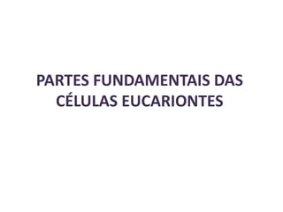 PARTES FUNDAMENTAIS DAS
  CÉLULAS EUCARIONTES
 